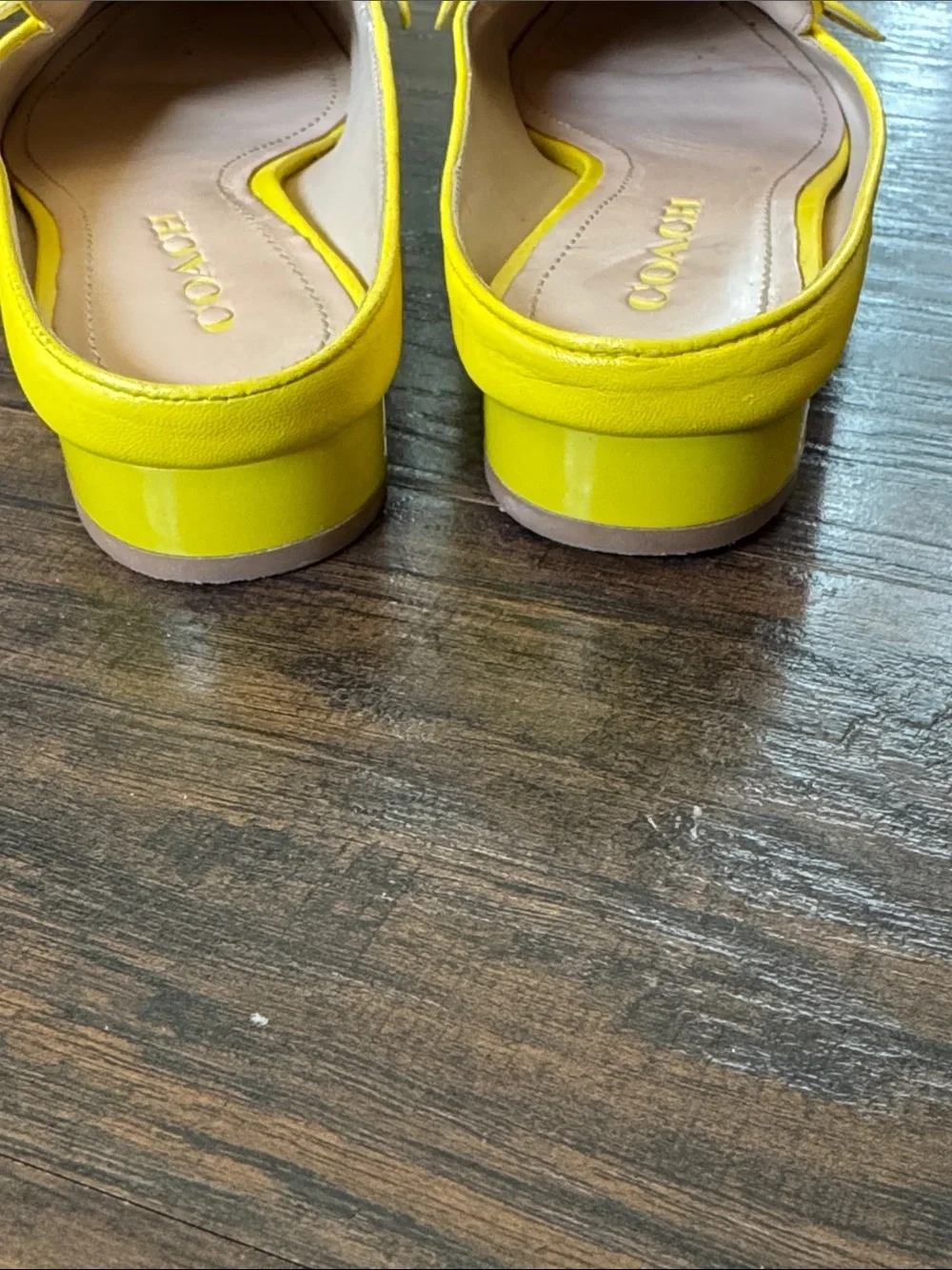 COACH Buttercup Yellow Leather Slip-On Mules with Gold Hardware - Picture 9 of 13
